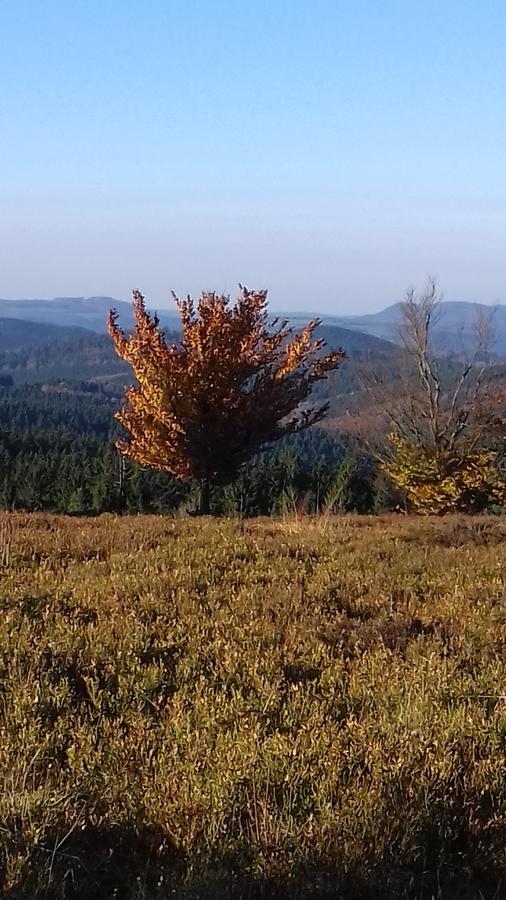 Apartment Schoenblick Winterberg Luaran gambar